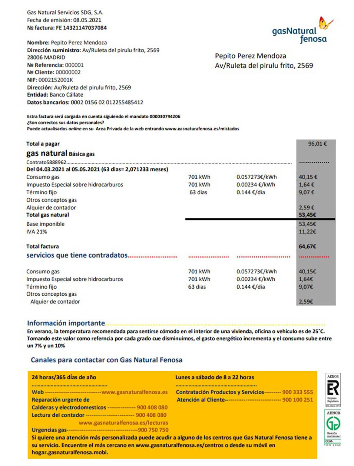 Spain gasNatural fenosa utility bill